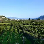 The Olive Tree Apartamento Epidaurus