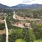 The Olive Tree Apartamento