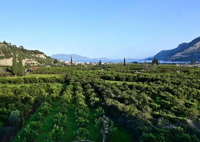 The Olive Tree 公寓 Epidaurus