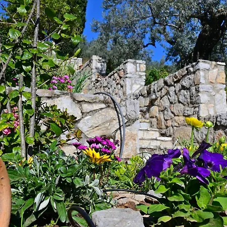 Daire The Olive Tree Epidaurus