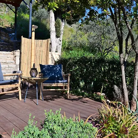 The Olive Tree Апартаменты