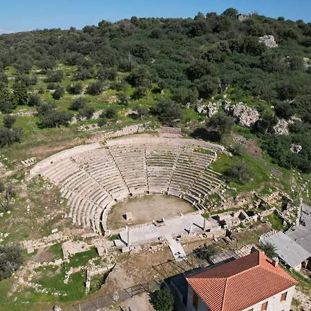 Апартаменты The Olive Tree Epidaurus