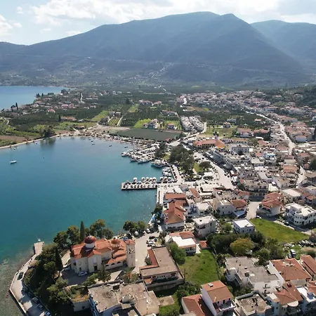 The Olive Tree * Epidaurus