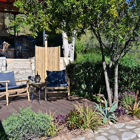 Апартаменты The Olive Tree