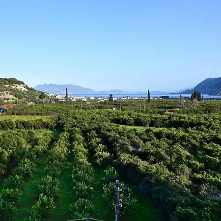 The Olive Tree Апартаменты Epidaurus