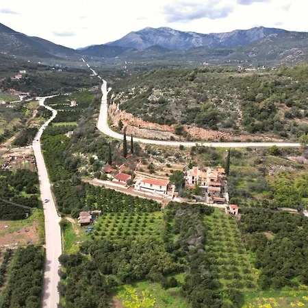 The Olive Tree Апартаменты