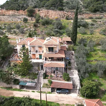 The Olive Tree Daire Epidaurus
