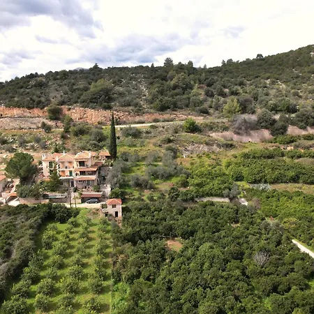 The Olive Tree Апартаменты