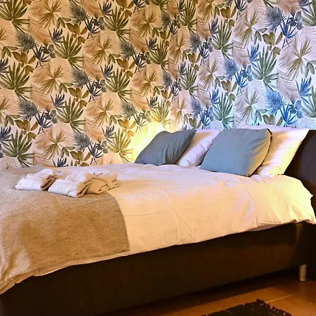 The Olive Tree Daire Epidaurus