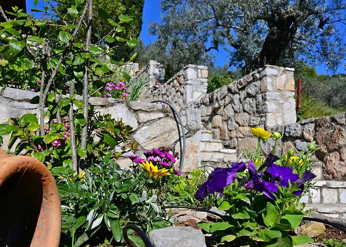 شقة The Olive Tree Epidaurus