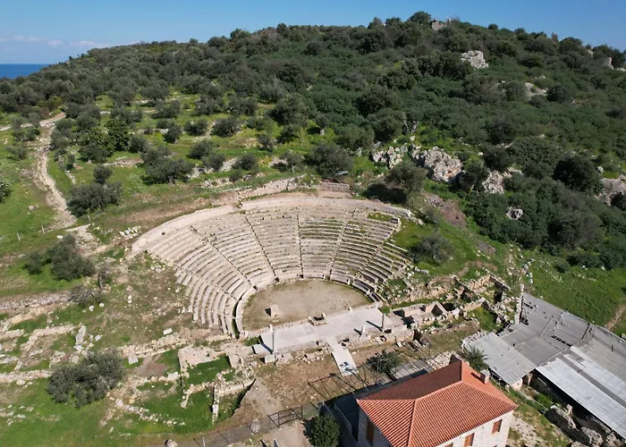 شقة The Olive Tree Epidaurus