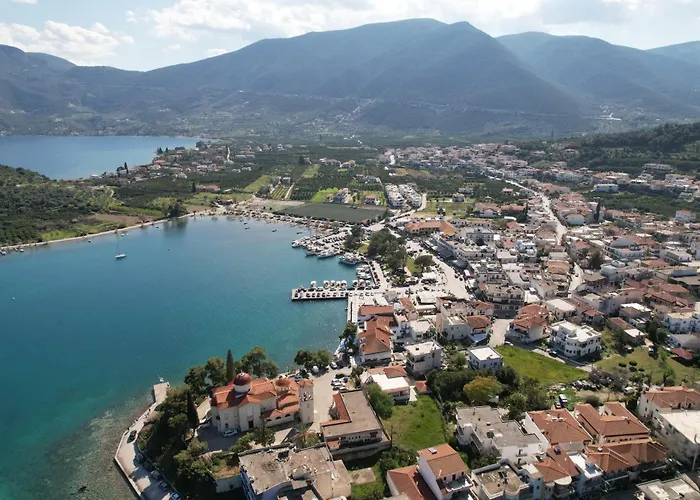 The Olive Tree * Epidaurus