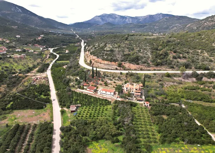 The Olive Tree Appartement