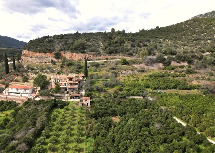 The Olive Tree Appartement