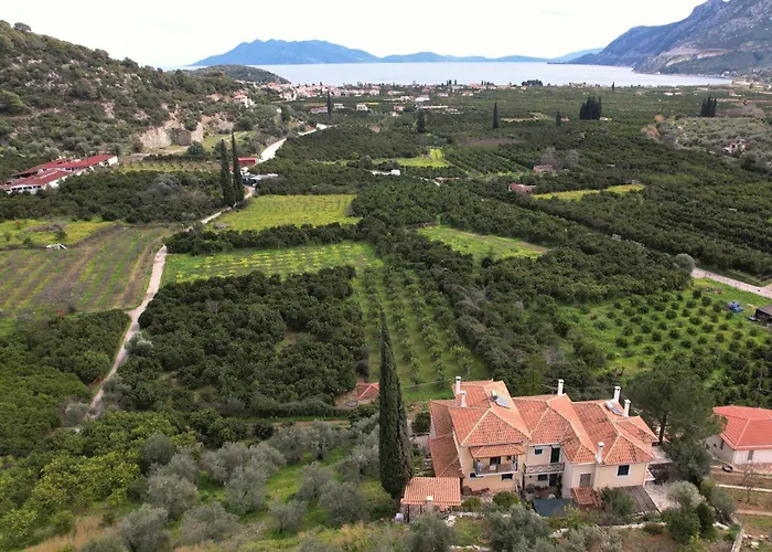 Appartement The Olive Tree
